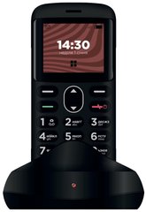 Мобильный телефон ERGO R201 Dual Sim Black