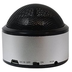 Портативная акустика Greenwave PS-300M Black/Silver (R0015123)