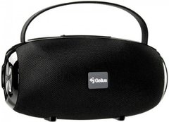 Портативная акустика Gelius Pro BoomBox GP-BS500 Black