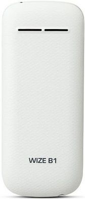 Мобильный телефон Prestigio Wize B1 (PFP1180) White