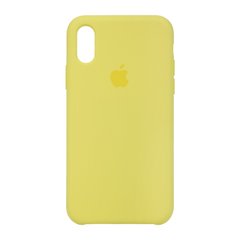 Чехол Original Silicone Case для Apple iPhone X/XS Flash (ARM53538)