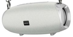 Портативна акустика Borofone BR12 Amplio sports wireless speaker Grey (BR12G)