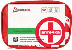 Автомобільна аптечка Poputchik 02-032-М