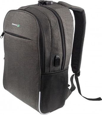 Рюкзак для ноутбука Grand-X RS-425G 15,6 (RS-425G)