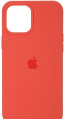 Чехол Original Silicone Case для Apple iPhone 12 Pro Max Pink Citrus (ARM57613)