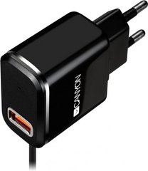 Мережевий зарядний пристрій Canyon USB + вбудований кабель Micro USB 2.1А Black (CNE-CHA041BS)