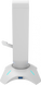 Гейм-гаджет 3 в 1 підставка для гарнітури, банджі для миші і хаб USB 2.0 Canyon WH200 Pearl White (CND-GWH200PW)