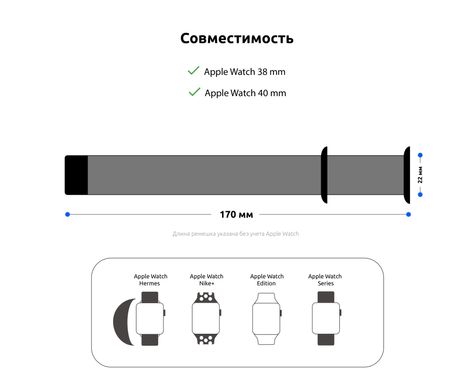 Ремінець ArmorStandart Leather Loop для Apple Watch 38mm/40mm Orange (ARM57838)