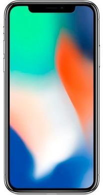 Смартфон Apple iPhone X 256Gb A1865 Silver (EuroMobi)