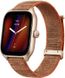 Смарт-часы Amazfit GTS 4 Autumn Brown (955550)