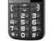 Мобільний телефон Nous Helper NS 2422 black silver
