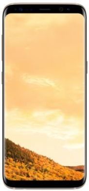 Смартфон Samsung Galaxy S8 Plus 64Gb Gold (SM-G955FZDD) (Euromobi)