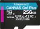 Карта памяти Kingston MicroSDHC 256GB UHS-I/U3 Class 10 Kingston Canvas Go! Plus R170/W90MB/s + SD-адаптер (SDCG3/256GB)