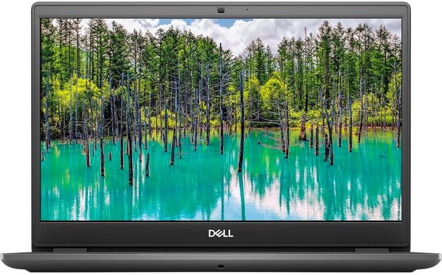 Ноутбук Dell Latitude 3410 (N014L341014GE_UBU)