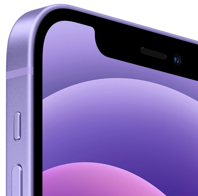Смартфон Apple iPhone 12 256GB Purple (MJNQ3) (UA)