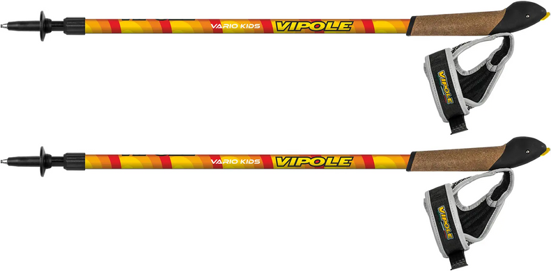 Палки для скандинавской ходьбы Vipole Vario Kids (S20 38)