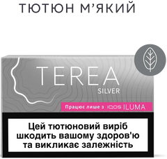 Блок стиков для нагрева табака TEREA Silver 10 пачек ТВЕН