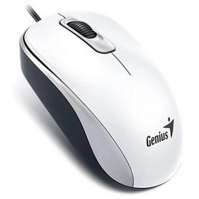 Мышь Genius DX-110 USB White (31010116102)