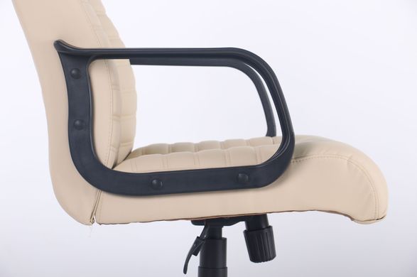 Офісне крісло для керівника AMF Атлетик Пластик-М Неаполь N-17 (292110)
