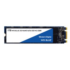 SSD-накопичувач M.2 WD Blue 1TB 2280 SATA TLCWDS100T2B0B