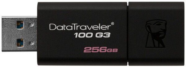 Флешка Kingston DT100 G3 256GB USB 3.0 (DT100G3/256GB)