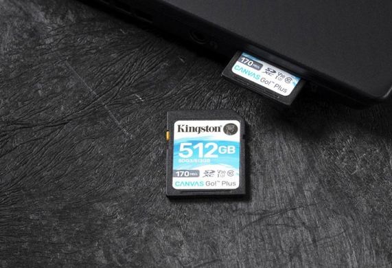 Карта памяти Kingston SDXC 64GB Canvas Go! Plus Class 10 UHS-I U3 V30 (SDG3/64GB)