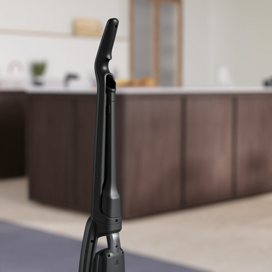 Пилосос Electrolux WQ81-PANIM