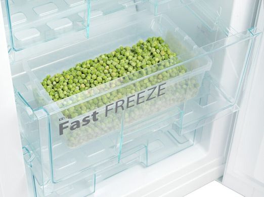 Холодильник Snaige RF53SM-S5RP210