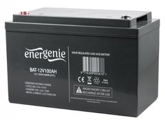 Акумуляторна батарея EnerGenie 12В 100Aг (BAT-12V100AH)