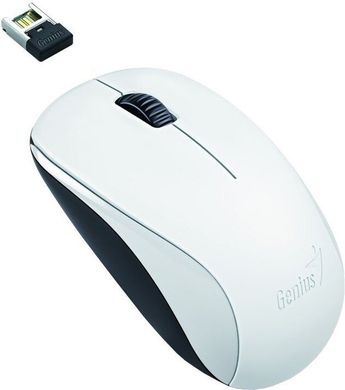 Миша Genius NX-7000 (31030109108) White USB BlueEye