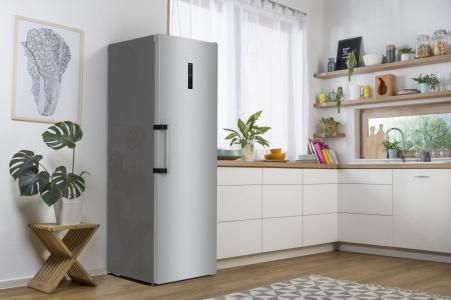 Холодильник Gorenje R619EAXL6