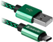 Кабель Defender USB09-03T PRO USB(AM)-C Type 1m Green (87816)