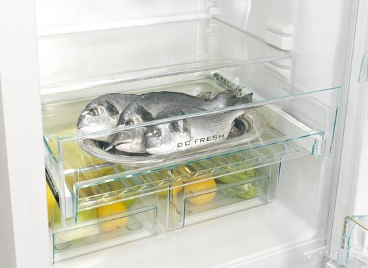 Холодильник Snaige RF58NG-P5JJ27