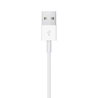 Кабель Apple Watch Magnetic Charging Cable (2 m) (MX2F2ZM/A)