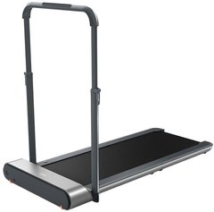 Бігова доріжка Kingsmith Walkingpad&Treadmill R1 Pro Black (678407)