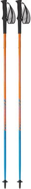 Трекинговые палки Dynafit Vertical Pole 115 (016.003.0081)