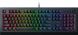 Клавіатура Razer Cynosa V2 USB (RZ03-03400700-R3R1)