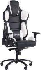 Комп'ютерне крісло для геймера AMF VR Racer Expert Idol Чорний/Білий (546756)
