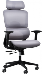 Офісне крісло для керівника GT Racer B-529B Gray