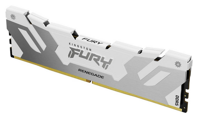 Оперативная память Kingston FURY 16 GB DDR5 6000 MHz Renegade Silver/White (KF560C32RW-16)