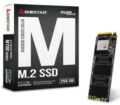 SSD накопичувач Biostar M760-256GB