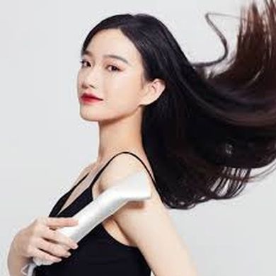 Фен-щітка Xiaomi WellSkins Wei Xin Hot Air Comb