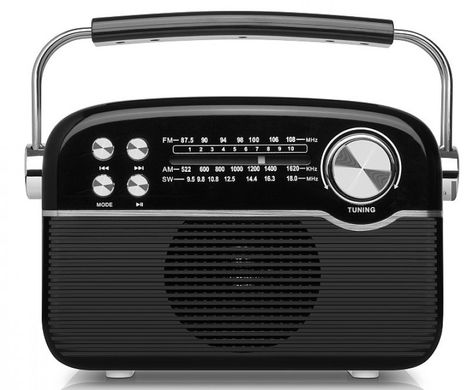 Портативный радиоприемник REAL-EL X-545 Black