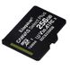 Карта памяти Kingston 256GB microSDXC C10 UHS-I Canvas Select Plus (SDCS2/256GBSP)