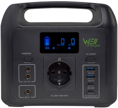 Зарядна станція WellCharger D150 Global (WCD150)