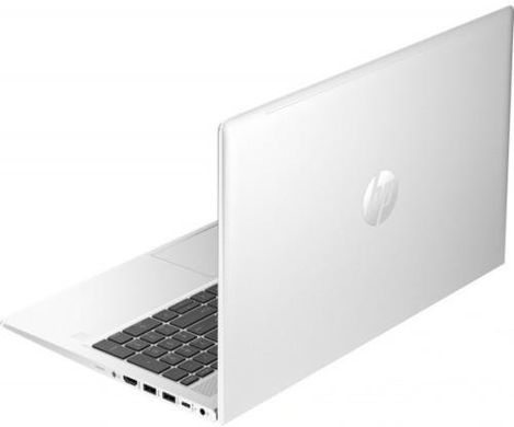 Ноутбук HP ProBook 455 G10 (719F9AV_V4)