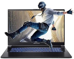 Ноутбук Dream Machines RG3050-17 (RG3050-17UA37)