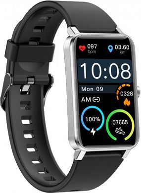 Смарт-годинник Globex Smart Watch Fit Silver