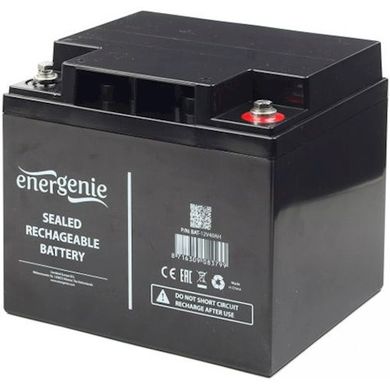 Аккумуляторная батарея EnerGenie 12В 40Aч (BAT-12V40AH)