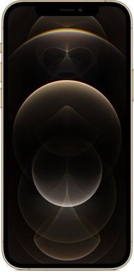 Смартфон Apple iPhone 12 Pro 256GB Gold (MGMR3/MGLV3) Відмінний стан